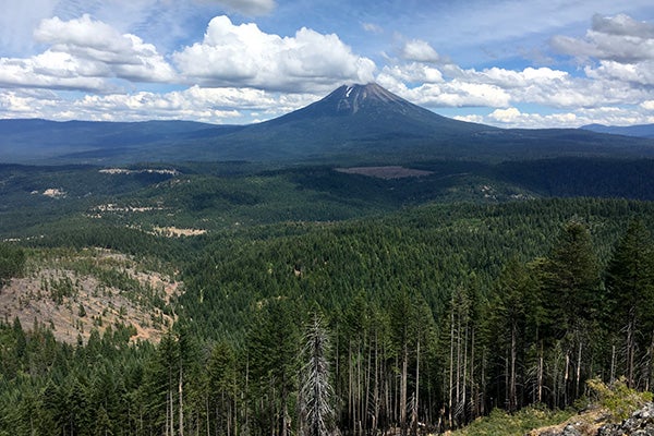A scenic view of a mountain and trees.
