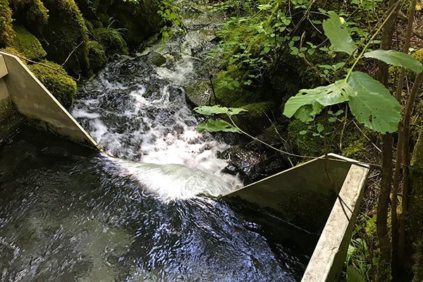 A running river