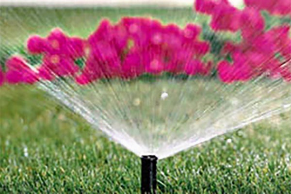 A sprinkler head watering a lawn
