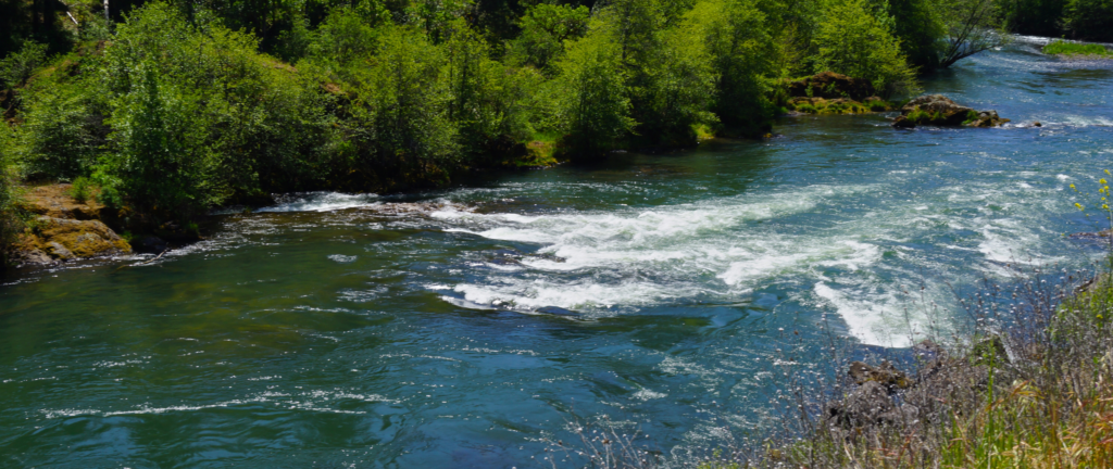 The Rogue River flows over a landscape, with rocks and trees on the banks.